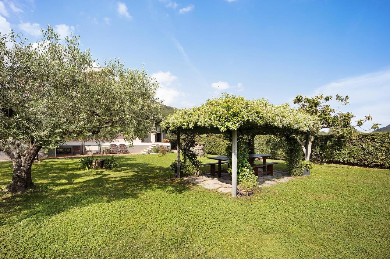 Mansarda Albero Verde Con Piscina Casanova Lerrone Экстерьер фото