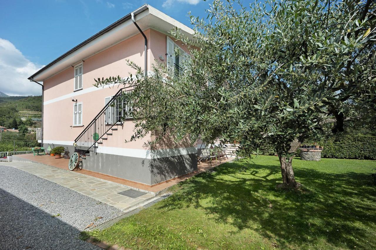 Mansarda Albero Verde Con Piscina Casanova Lerrone Экстерьер фото